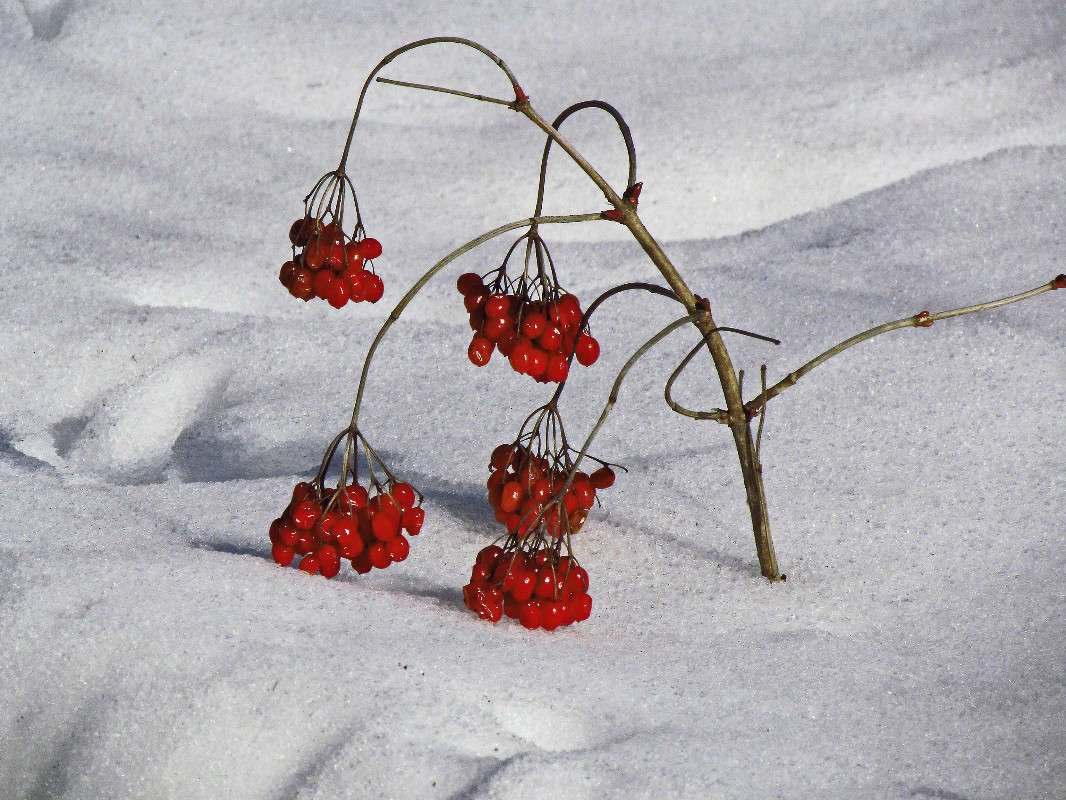 ������ ����� ���� ������ �� PhotoGeek.ru #������ ��� �������