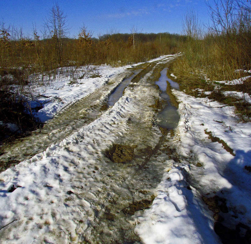 ������ ������ ����� ���� ������ �� PhotoGeek.ru #������ ��� �������