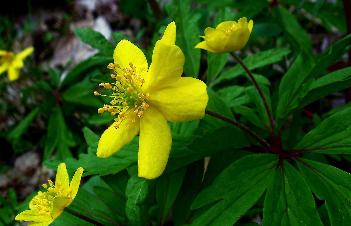 ����� ����� ����� ���� ������ �� PhotoGeek.ru #�����