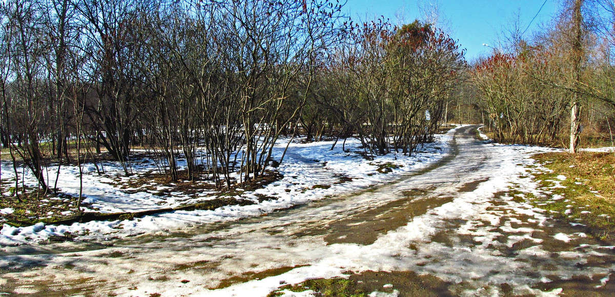 ������� ����� ���� ������ �� PhotoGeek.ru #������ ��� �������