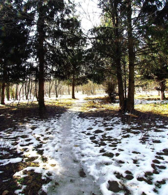 ����� ����� ����� ���� ������ �� PhotoGeek.ru #������ ��� �������