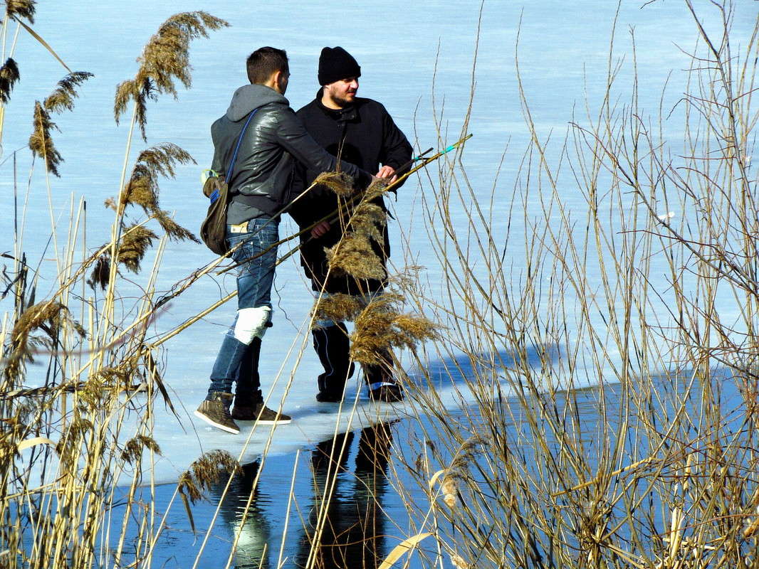 �������� ����� ���� ������ �� PhotoGeek.ru #�������� ����������