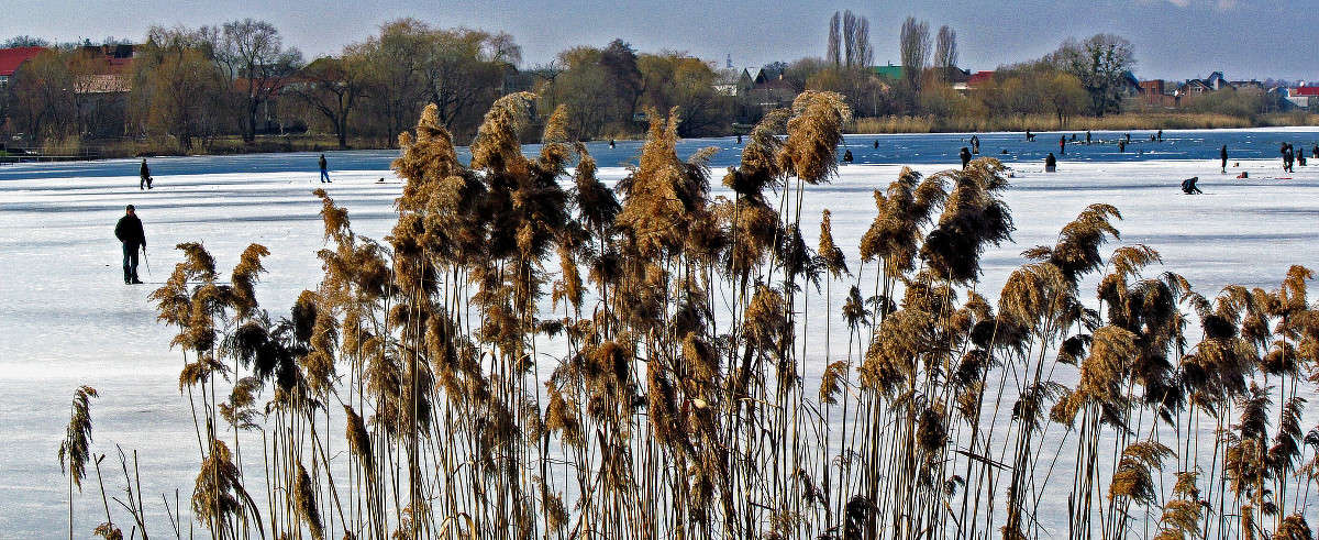 ����� ����� ���� ������ �� PhotoGeek.ru #�������� ����������