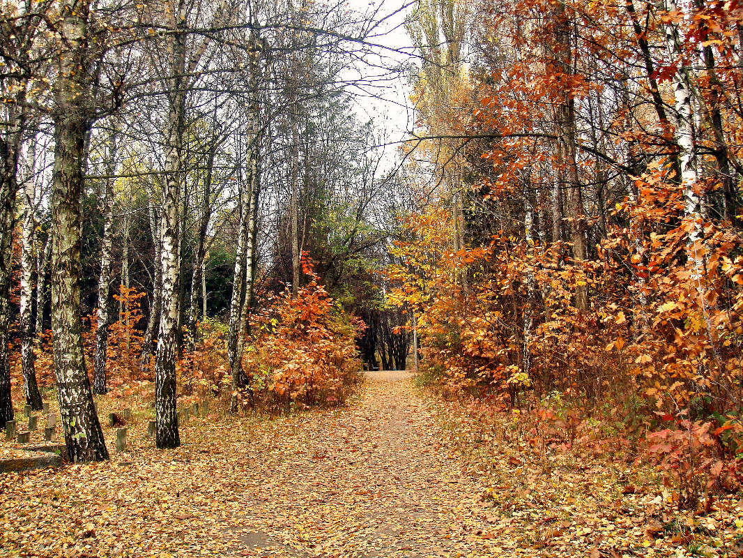 ����� ����� ���� ������ �� PhotoGeek.ru #������ ��� �������