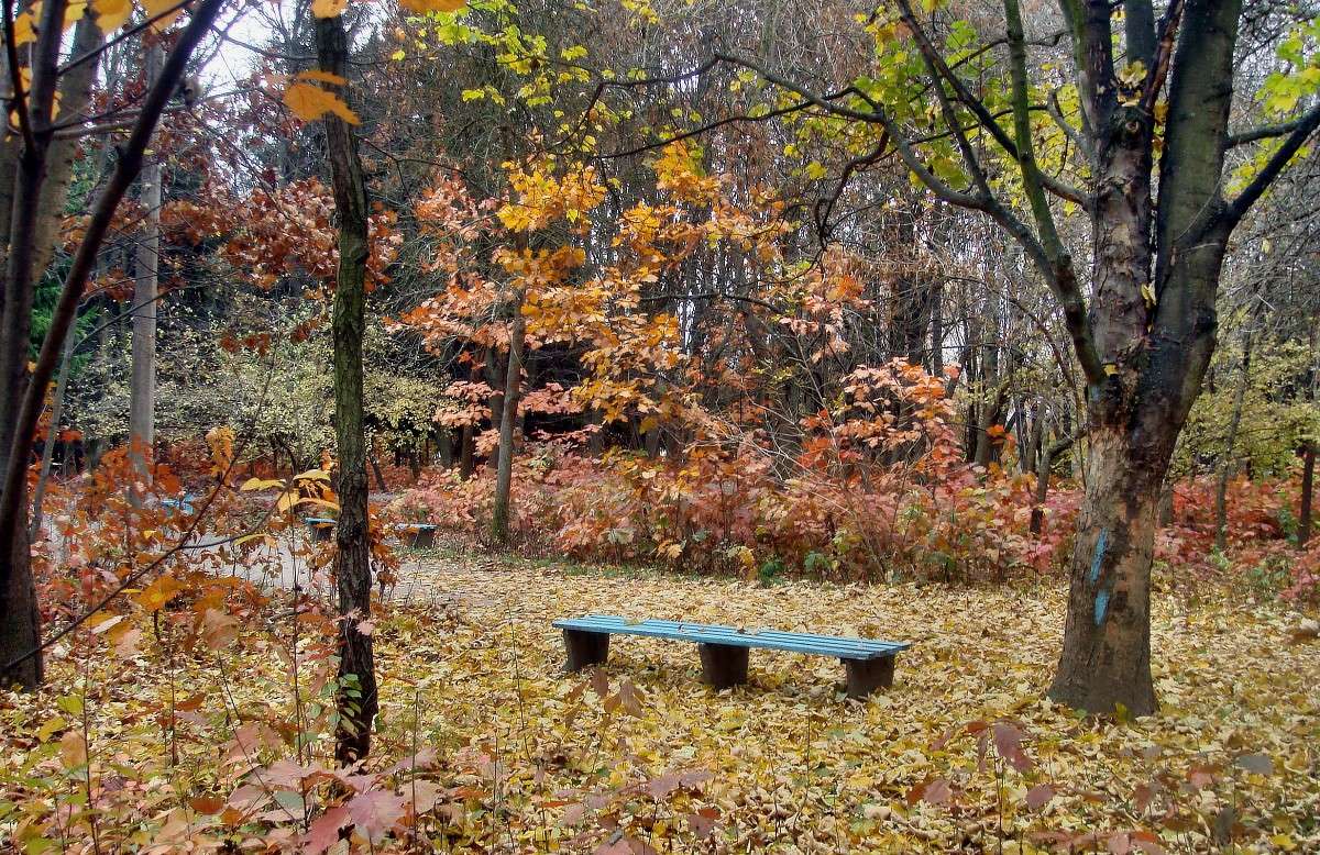 ������� ���� ����� ���� ������ �� PhotoGeek.ru #������ ��� �������