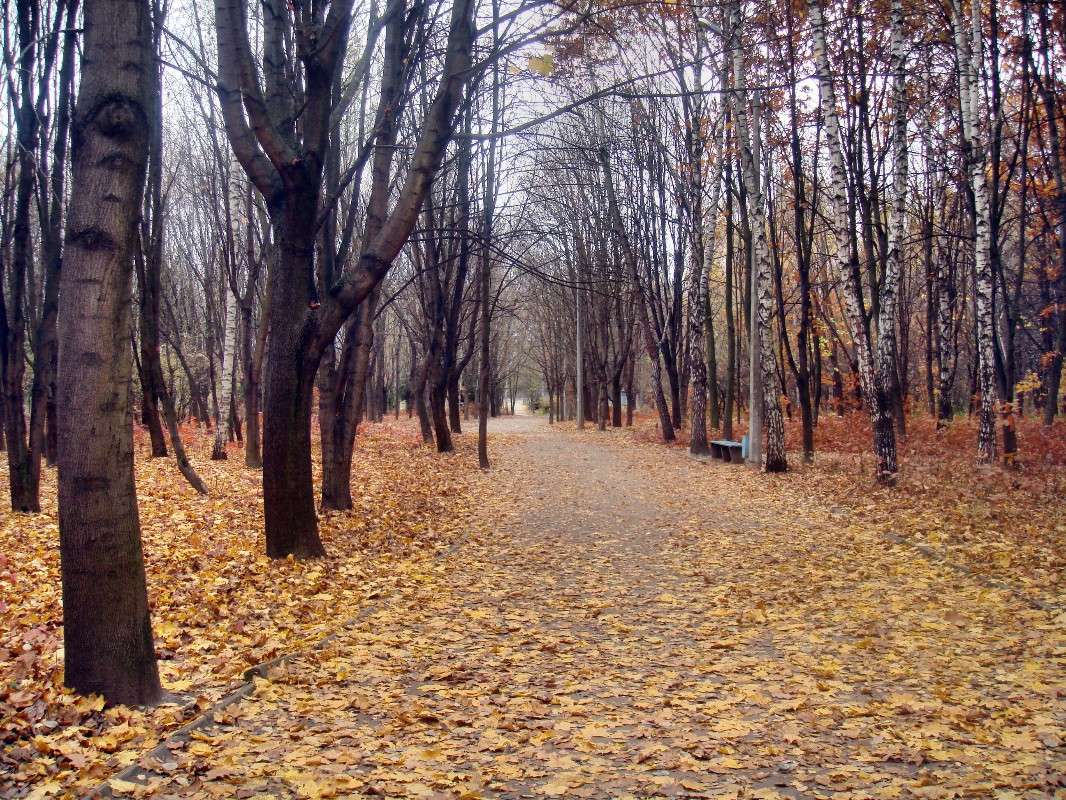 �������� ����� ����� ���� ������ �� PhotoGeek.ru #�������� ����������