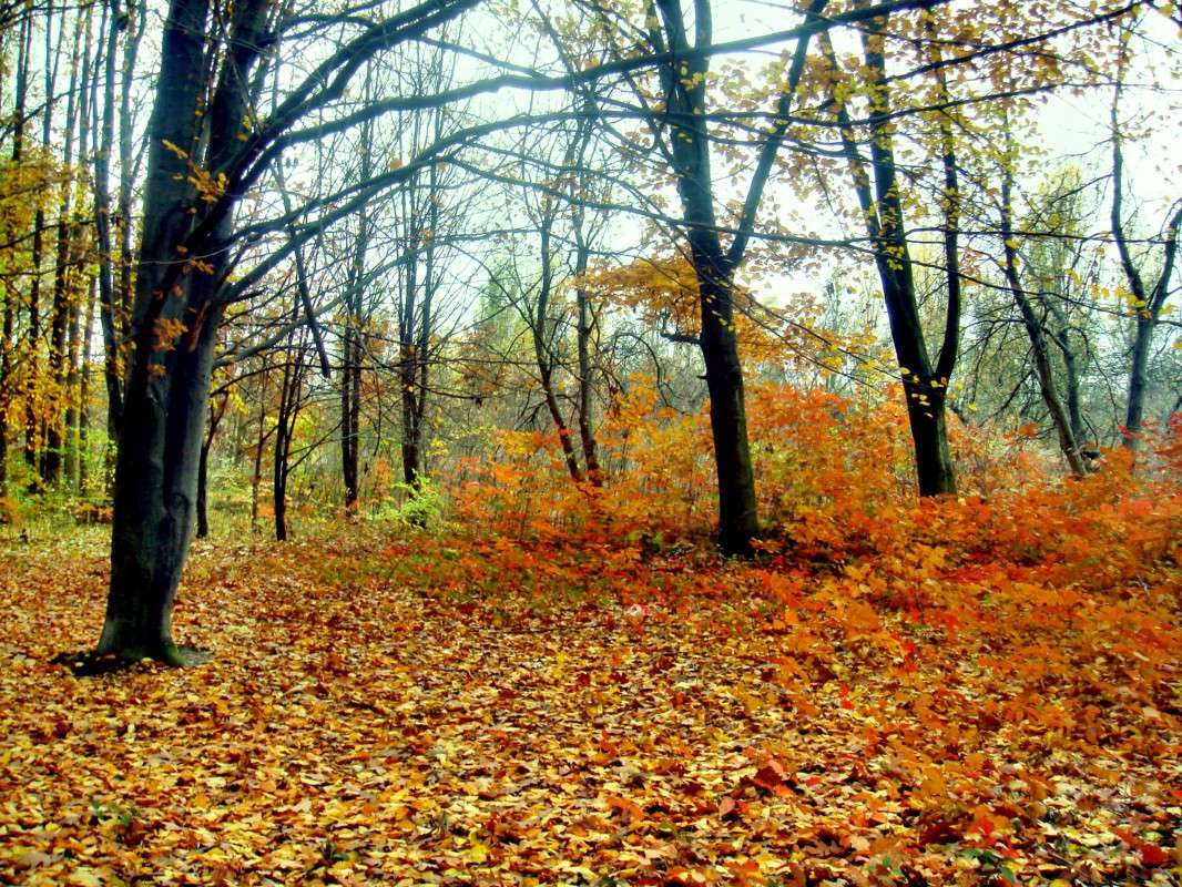 ����� ������ ����� ����� ���� ������ �� PhotoGeek.ru #�������� ����������