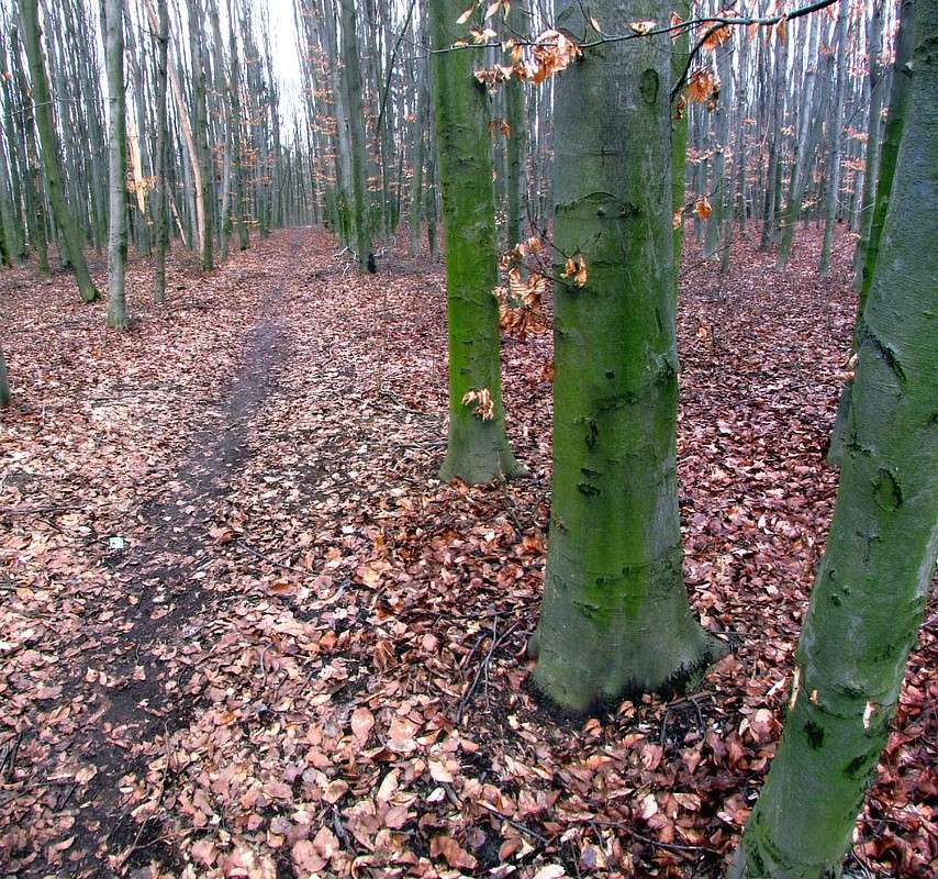 ����� ���� ����� ���� ������ �� PhotoGeek.ru #������ ��� �������