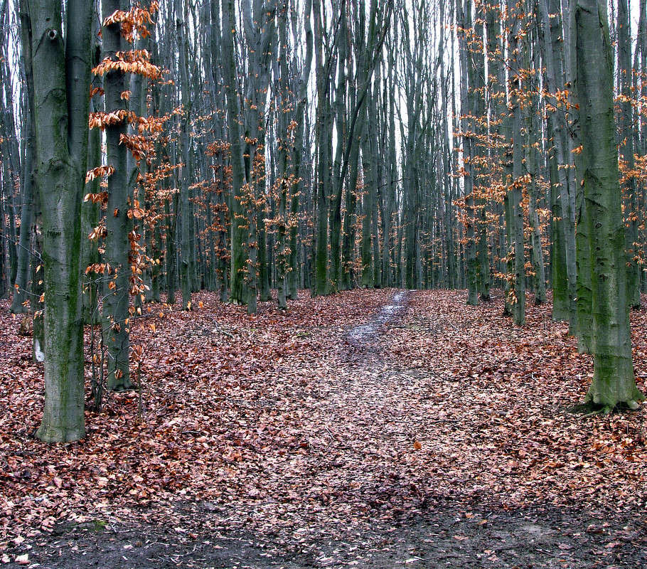 �������� ��� ����� ���� ������ �� PhotoGeek.ru #������ ��� �������