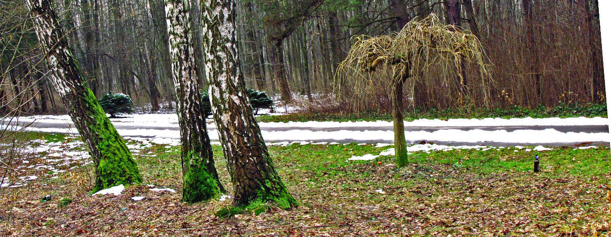 ������ ����� ���� ������ �� PhotoGeek.ru #������ ��� ������� #�������