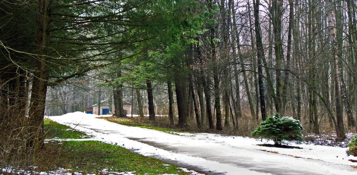 ������ ����� ����� ���� ������ �� PhotoGeek.ru #������ ��� �������