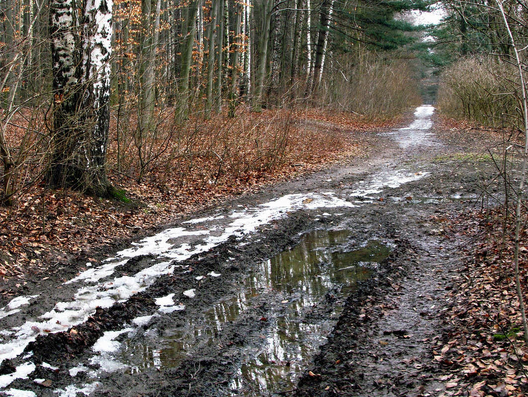 ����� ����� ���� ������ �� PhotoGeek.ru #������ ��� �������