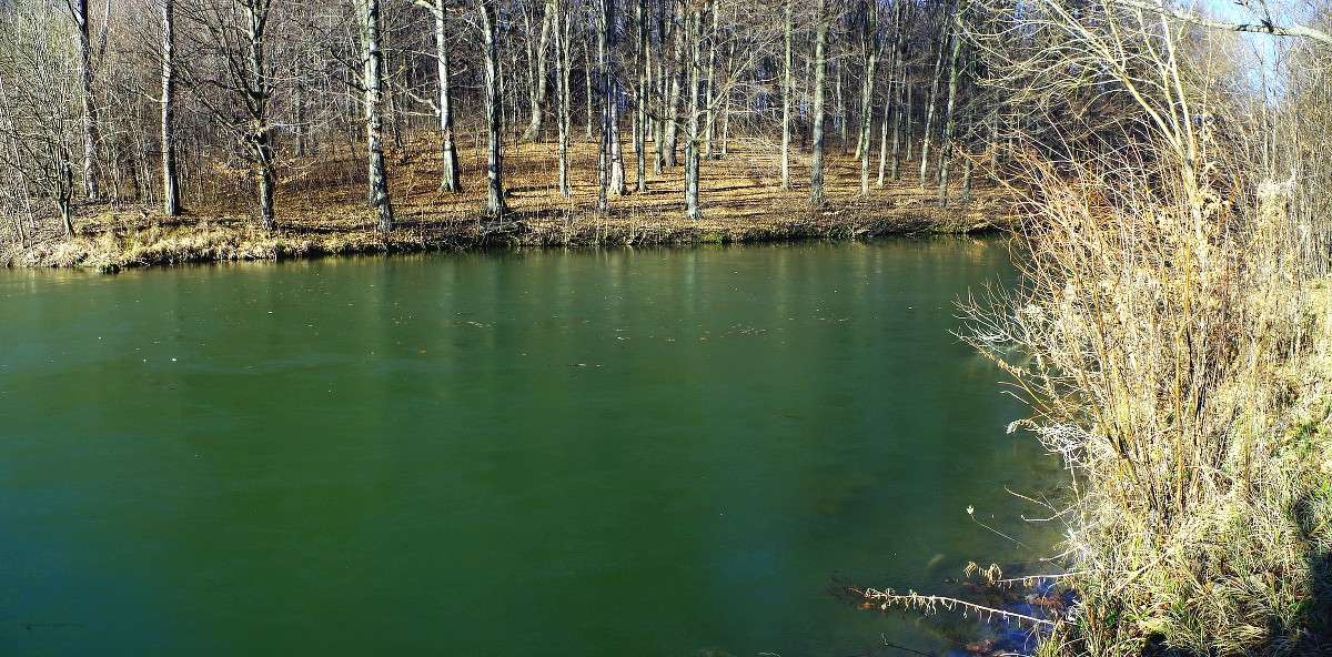 �� ����� ����� ���� ������ �� PhotoGeek.ru #������ ��� �������