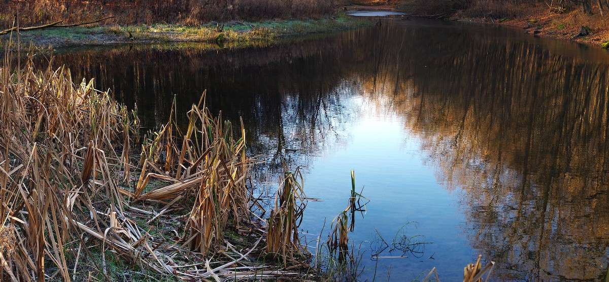 �� ����� ����� ���� ������ �� PhotoGeek.ru #������ ��� �������