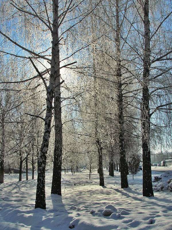 ����.������ ����� ���� ������ �� PhotoGeek.ru #������ ��� �������