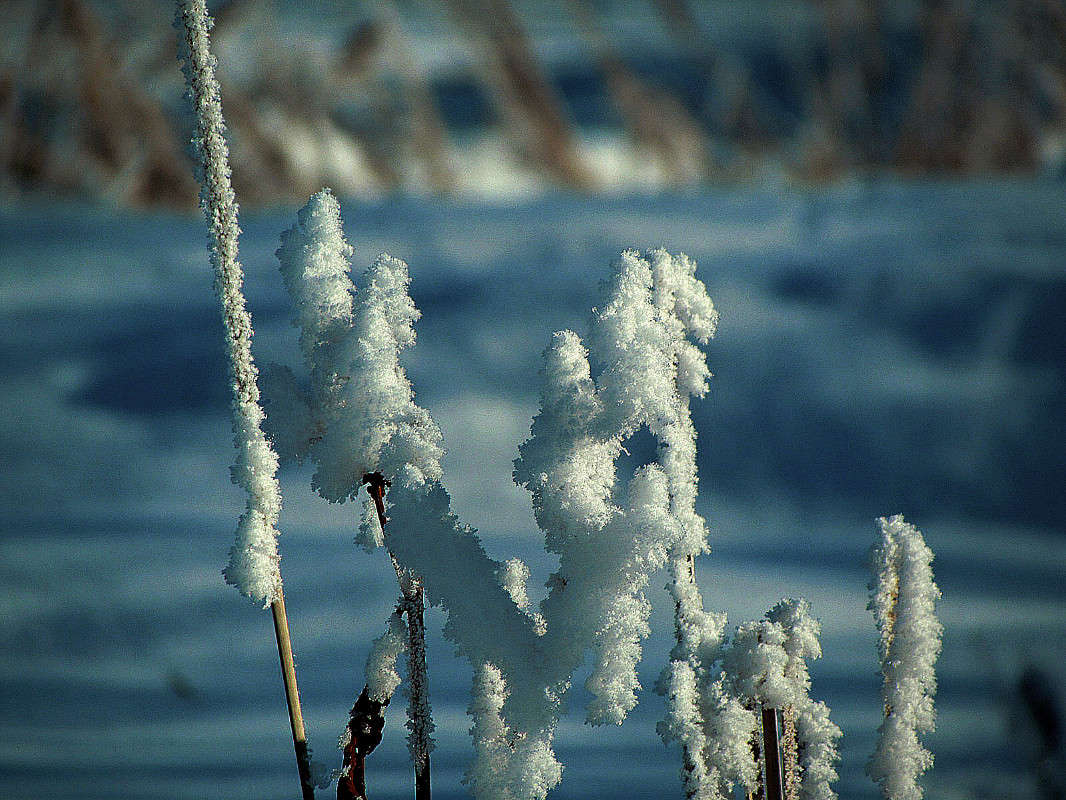 ���� � ����� ����� ����� ���� ������ �� PhotoGeek.ru #������ ��� �������