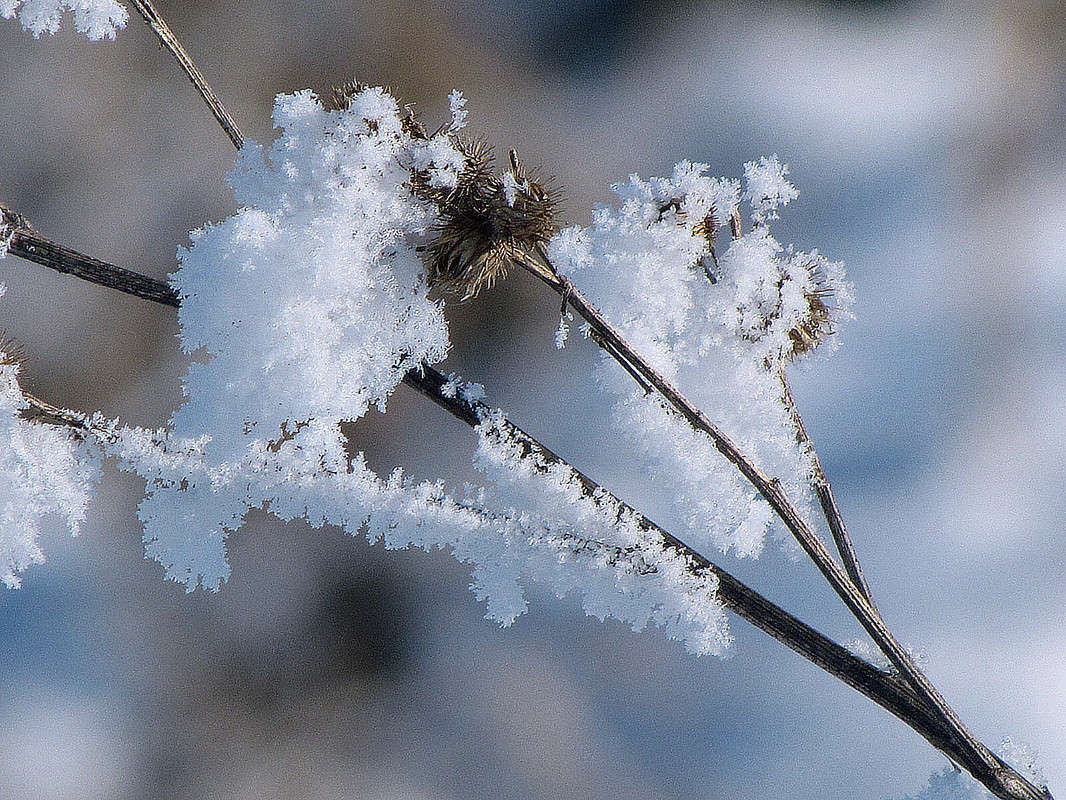 ���� �� ��������� ����� ���� ������ �� PhotoGeek.ru #�������� ����������