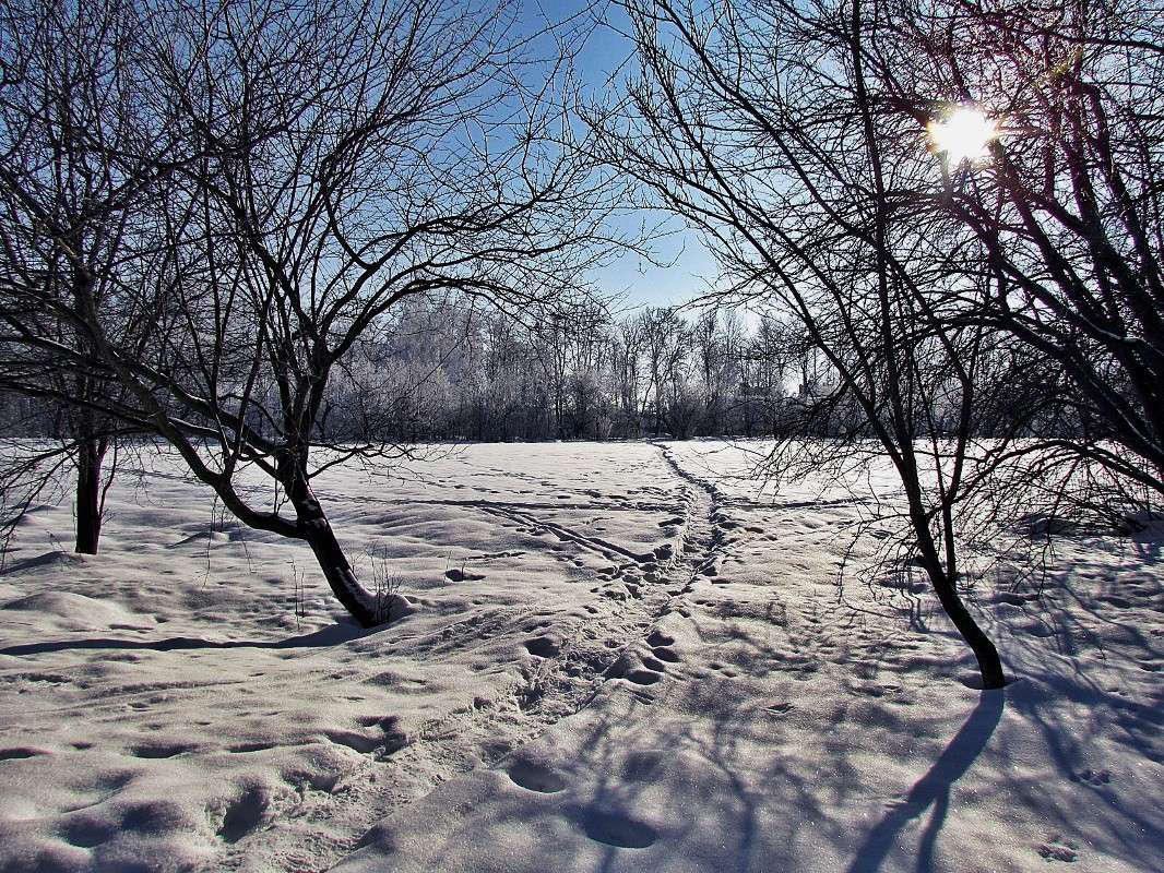 ������ ���� ����� ���� ������ �� PhotoGeek.ru #������ ��� �������