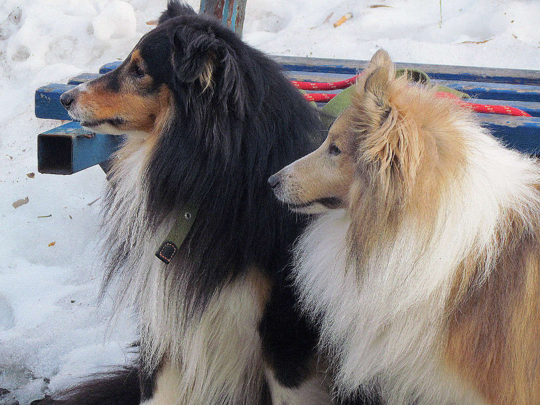 ����� ����� ���� ������ �� PhotoGeek.ru #�������� ���