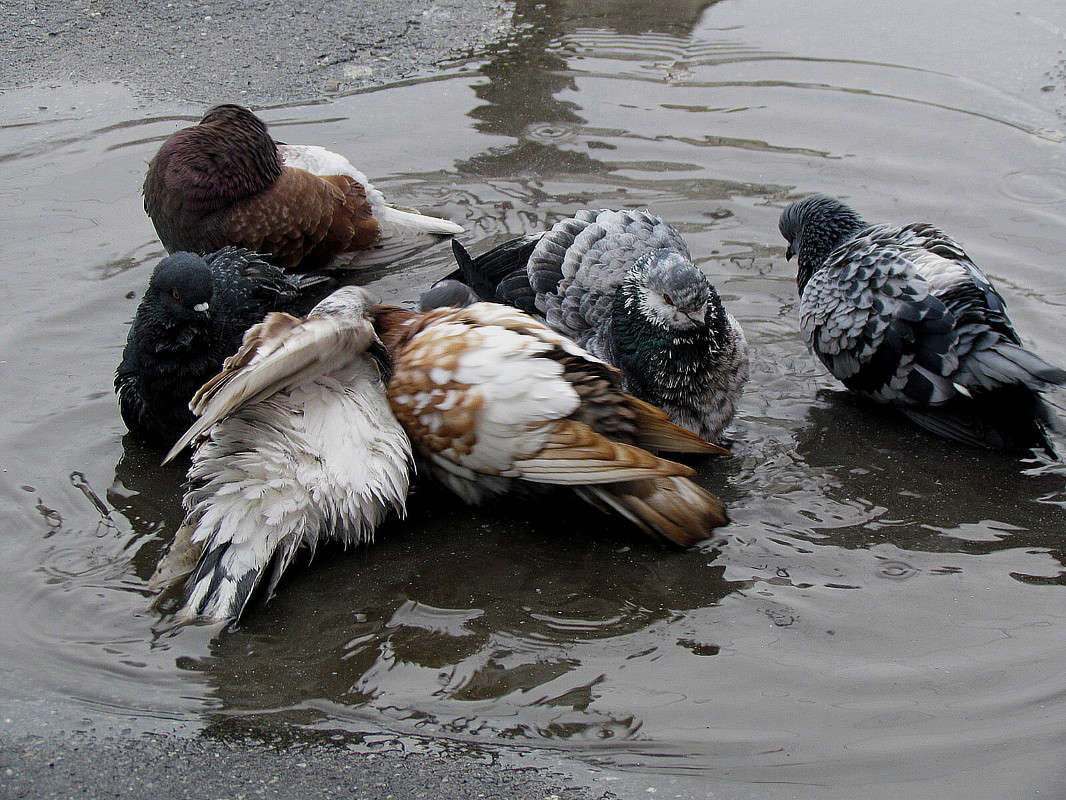 ������ ����� ���� ������ �� PhotoGeek.ru #�������� ����������