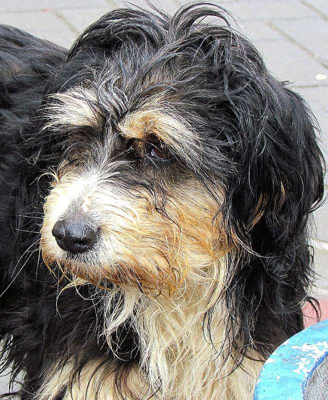 ����� ����� ���� ������ �� PhotoGeek.ru #�������� ���