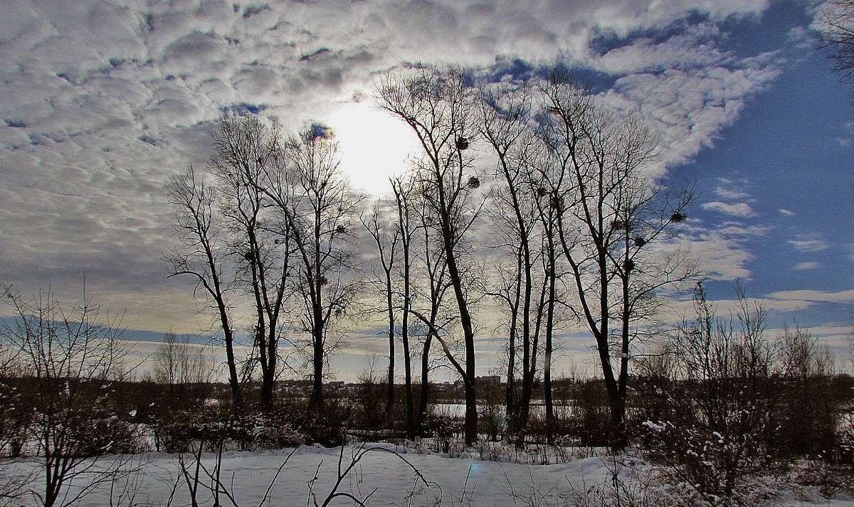 ���� ����� ���� ������ �� PhotoGeek.ru #������ ��� �������