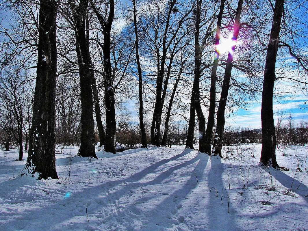 ����.������ ����� ���� ������ �� PhotoGeek.ru #������ ��� �������