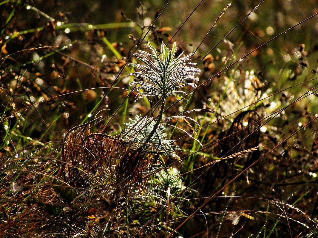 ���� ����� ���� ������ �� PhotoGeek.ru #������ ��� �������