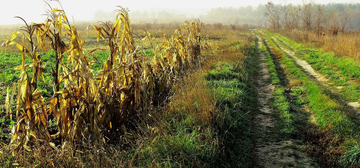 �������� ����� ����� ���� ������ �� PhotoGeek.ru #������ ��� �������