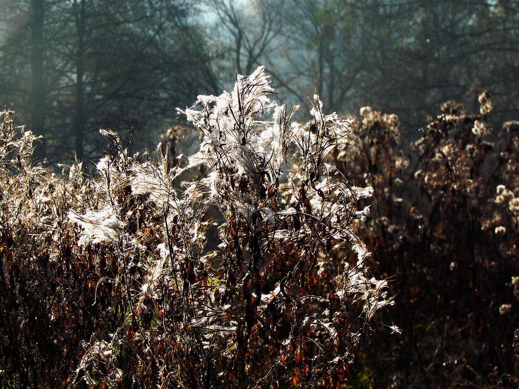 ����� ����� ����� ���� ������ �� PhotoGeek.ru #������ ��� �������