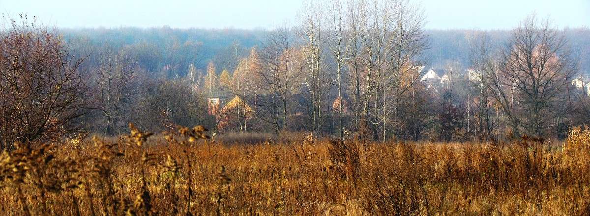 ����� ����� ���� ������ �� PhotoGeek.ru #������ ��� �������