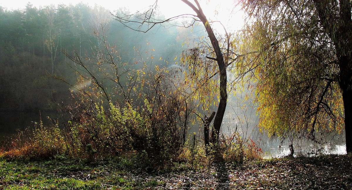 ������ ����� ���� ������ �� PhotoGeek.ru #�������� ����������