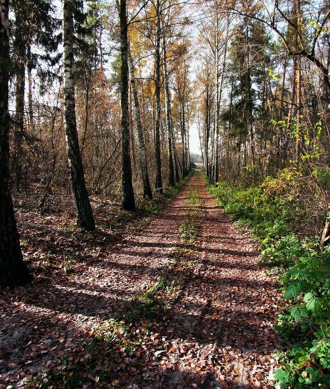 ������ ����� ���� ������ �� PhotoGeek.ru #������ ��� �������