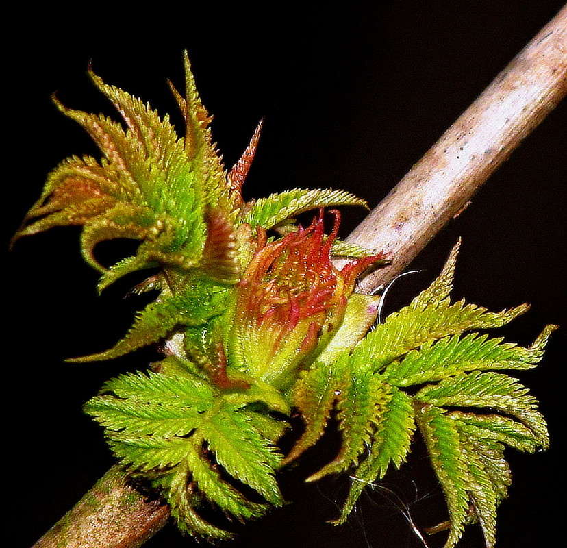 ����� ����.. ����� ���� ������ �� PhotoGeek.ru #�������� ����������