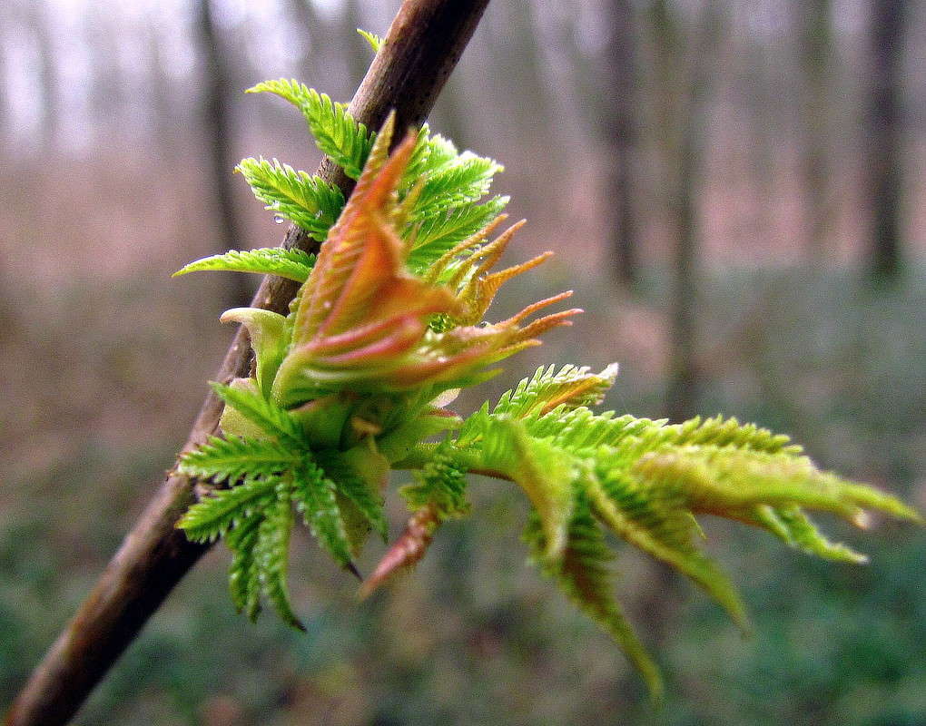 �������� ������ ����� ���� ������ �� PhotoGeek.ru #�������� ����������