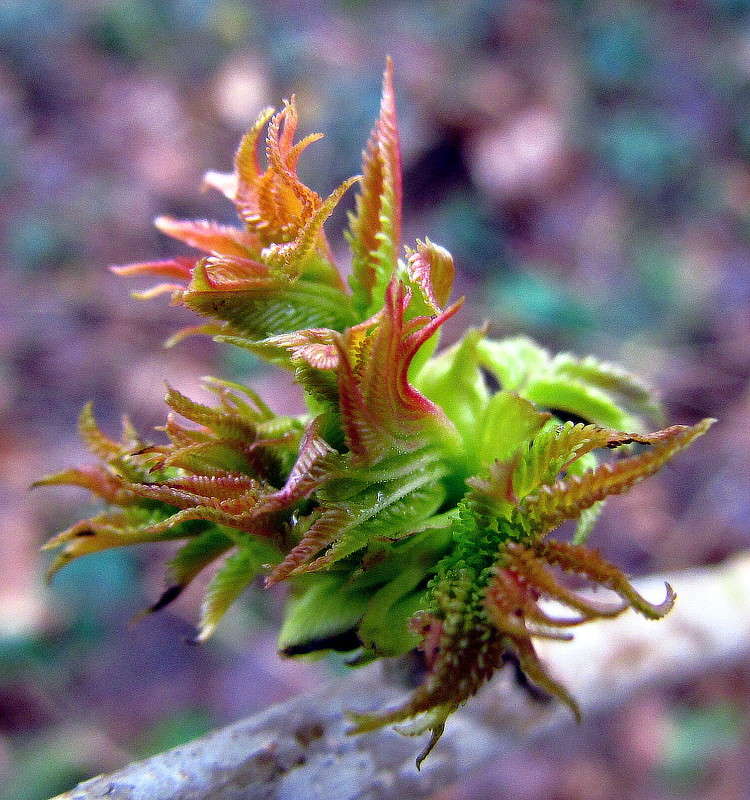 ������ ������������.. ����� ���� ������ �� PhotoGeek.ru #�������� ����������