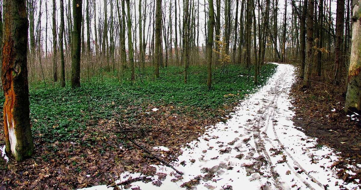 �������� ��� ����� ���� ������ �� PhotoGeek.ru #�������� ����������