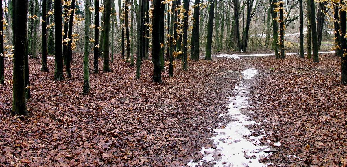 ����� ����� ���� ������ �� PhotoGeek.ru #������ ��� �������