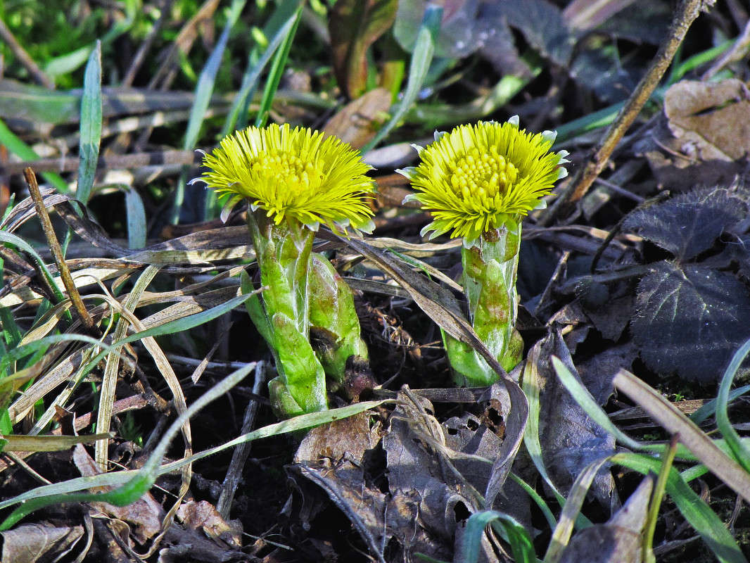 ������ ����� ����� ���� ������ �� PhotoGeek.ru #�����