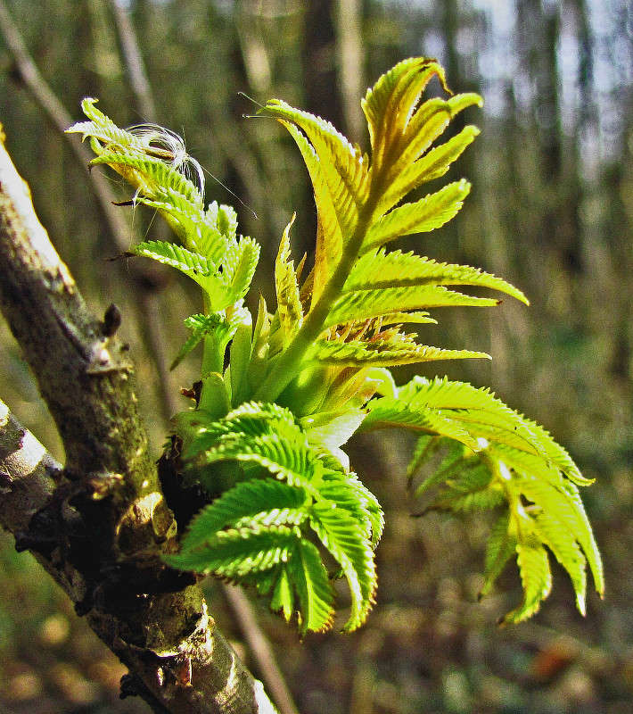 ������ � ����� ����� ���� ������ �� PhotoGeek.ru #������ ��� �������