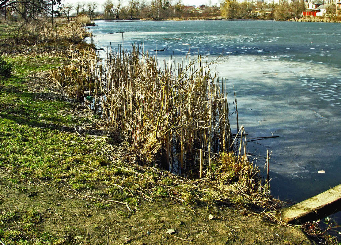 ��������� ��� ����� ���� ������ �� PhotoGeek.ru #������ ��� �������