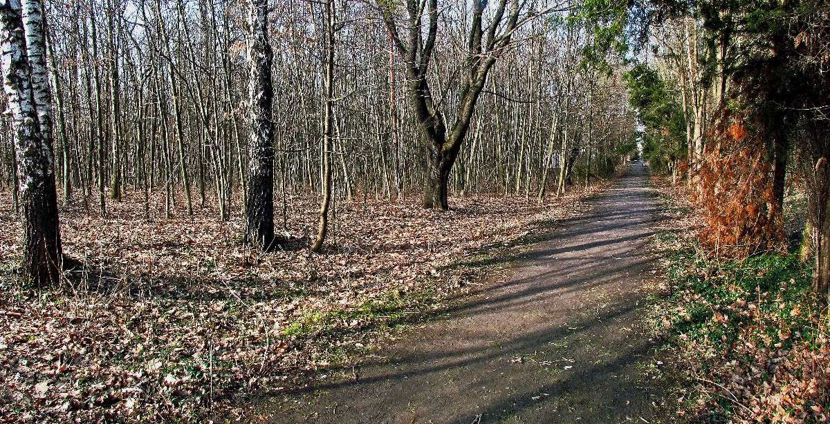 ����� ���� ����� ���� ������ �� PhotoGeek.ru #������ ��� �������