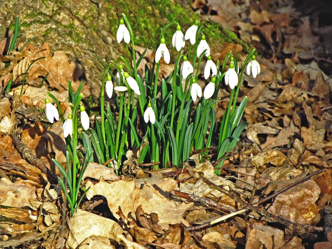 ����� ����� ���� ������ �� PhotoGeek.ru #������ ��� �������