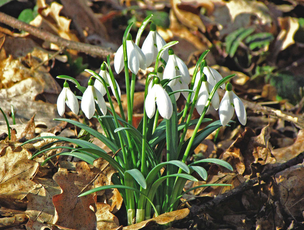 ..... ����� ���� ������ �� PhotoGeek.ru #������ ��� �������