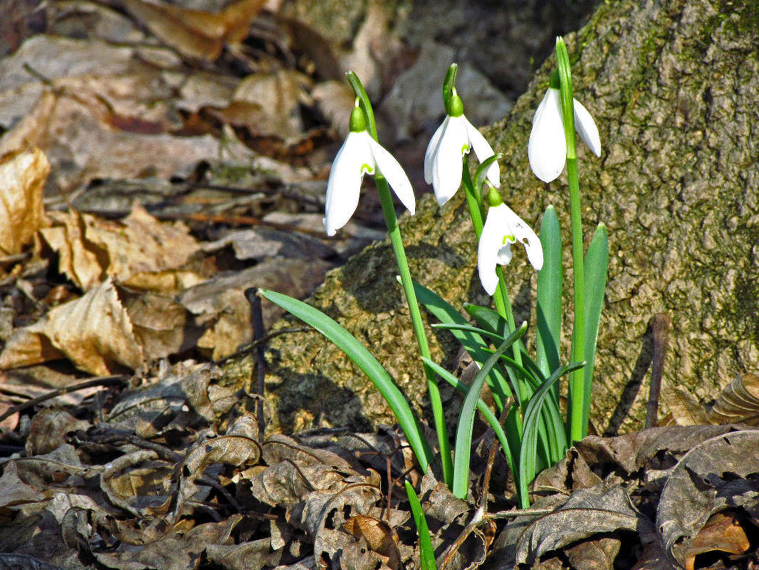 ����� ����� ����� ���� ������ �� PhotoGeek.ru #�������� ����������