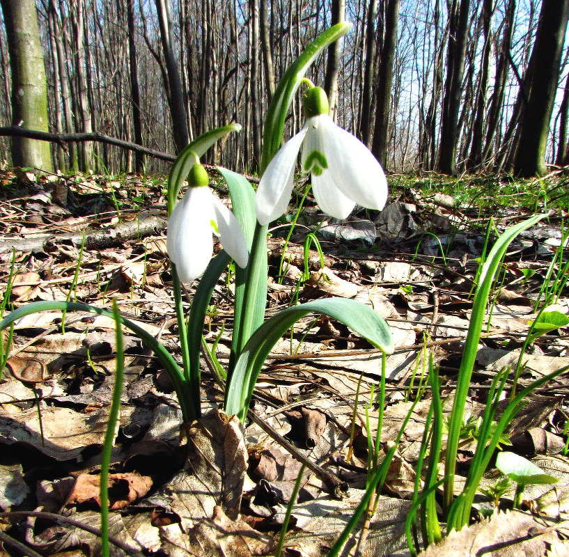 ���������� ����� ���� ������ �� PhotoGeek.ru #������ ��� �������