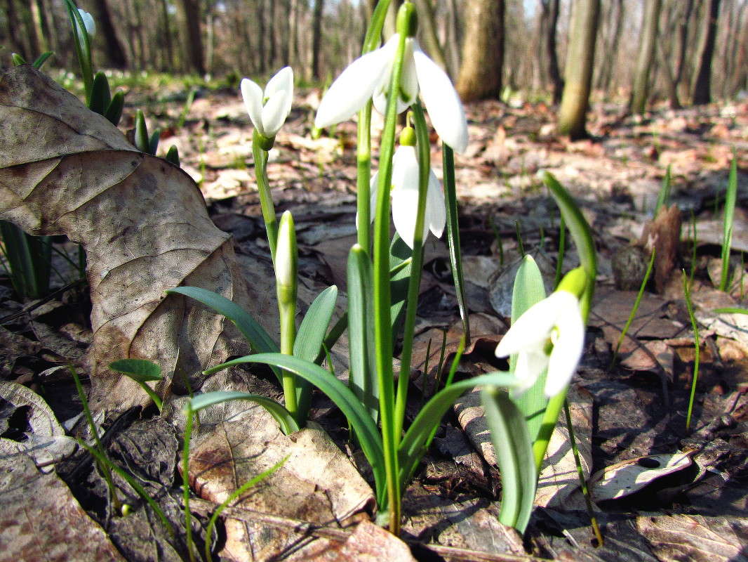 �����.. ����� ���� ������ �� PhotoGeek.ru #������ ��� �������