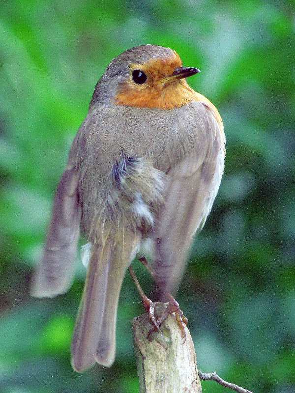 ������ ����� ���� ������ �� PhotoGeek.ru #�������� ����������