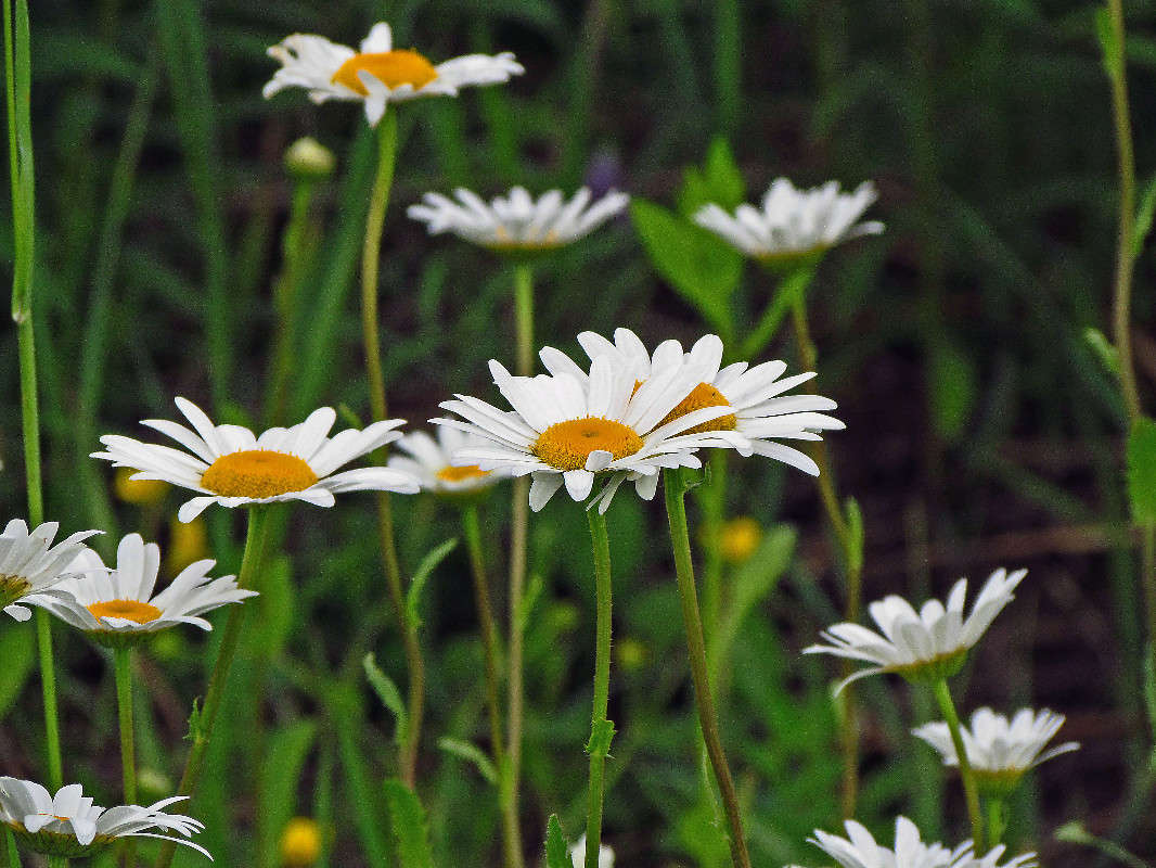 ������� ����� ���� ������ �� PhotoGeek.ru #�������� ����������