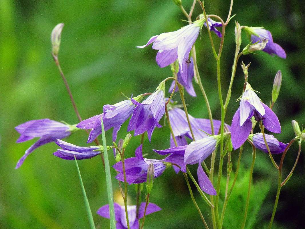 ������������ ����� ���� ������ �� PhotoGeek.ru #�������� ����������